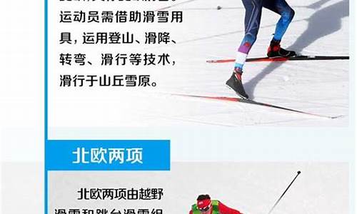 冬奥会项目简介20字,冬奥会比赛项目介绍怎么写